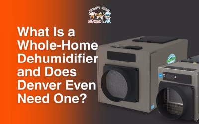 What Is a Whole-Home Dehumidifier and Does Denver Even Need One?